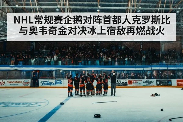 ice hockey arena crowd